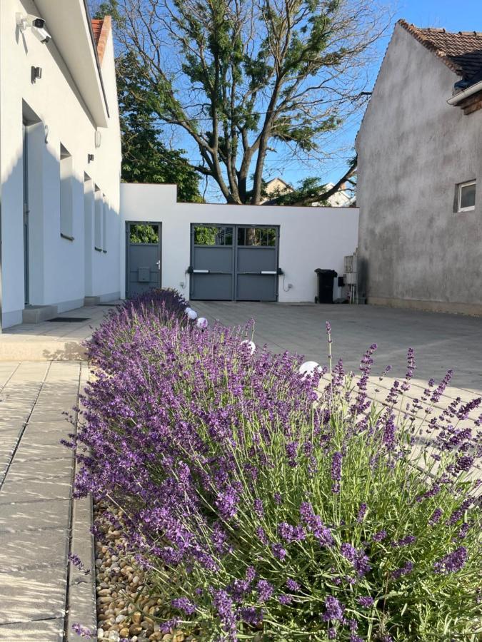 Dream Apartman Level Bagian luar foto